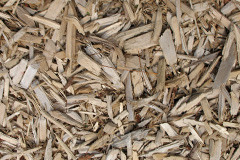 biomass boilers Gribun