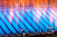 Gribun gas fired boilers
